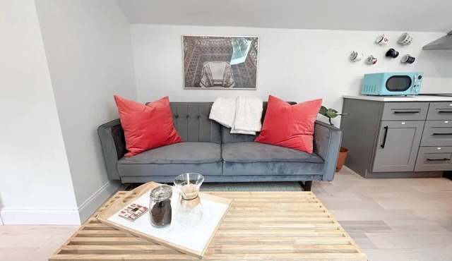 Brand New 1Bed/1Bath Steps from Piedmont Park & Beltline