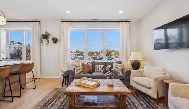 Brand new 2BR Apartment in downtown La Grange close to Metra