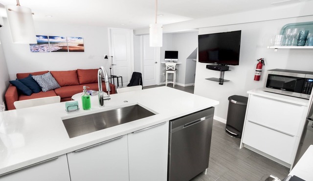 Brand new and modern apartment on Red Line!