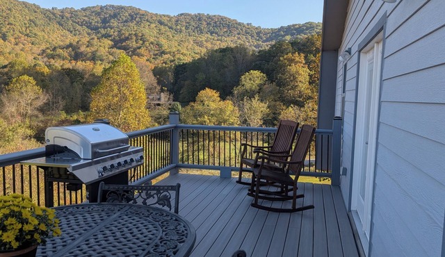 Brand new awesome 2-bedroom Guest House located in charming Waynesville.
