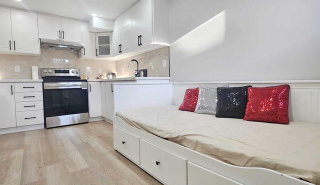 Brand new basement apartment