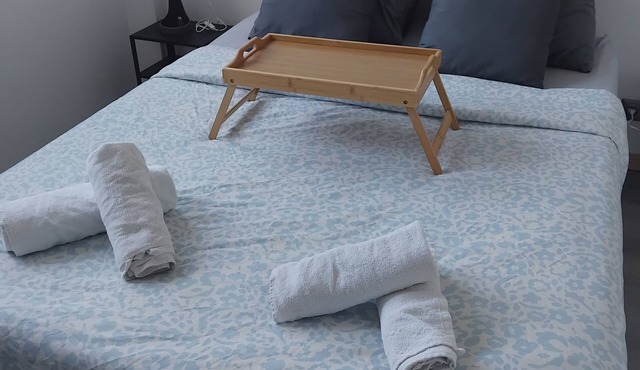 Brand new BREST apartment in secure building