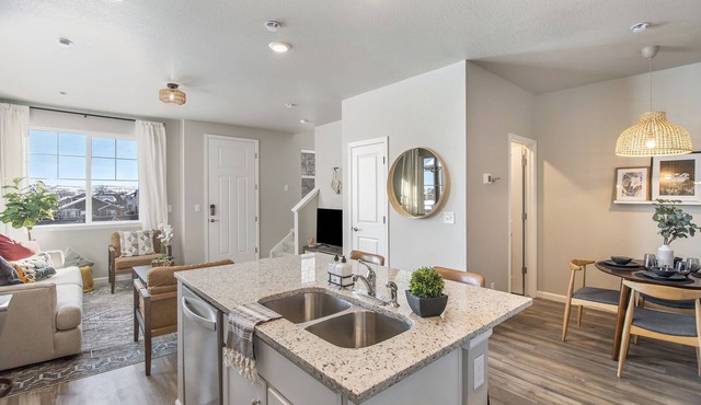 Brand New centrally located home in Parker CO