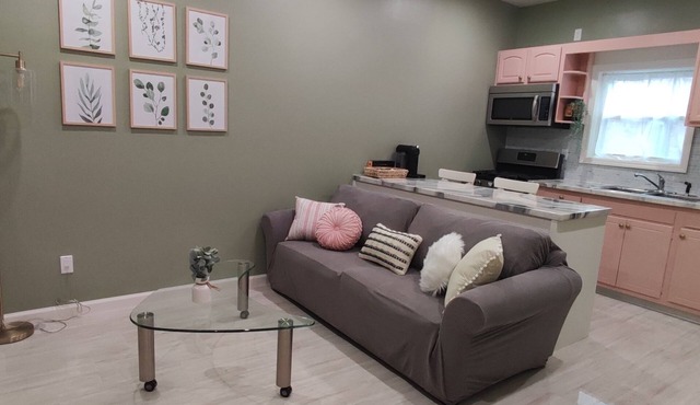 Brand New Cozy Downtown Delaware Apartment