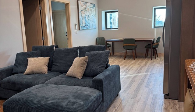 Brand new, cozy/modern 1-bedroom apartment located Norfolk's downtown district!