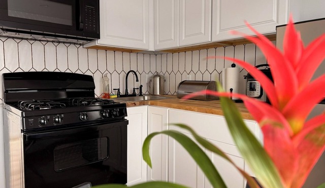 Brand new, cozy, private and peaceful one bedroom, one bath apartment