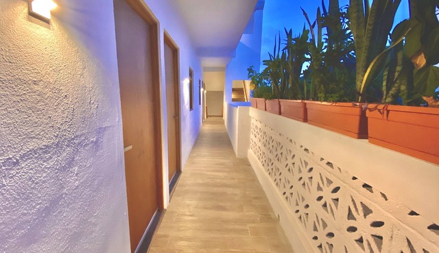 Brand new departments, just five minutes' walk from the Marina Dock.