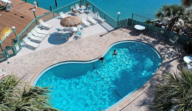 Brand New, Dolphins, Mom Clean - Lux Waterfront - 4 Bedroom/3 Bath (Unit #202)
