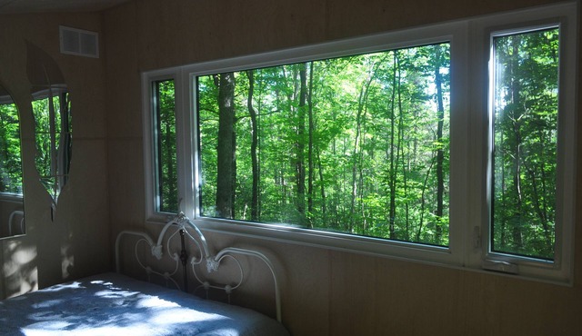 Brand New Dream Den Bunkie for Two with Canoe, River Access, and Scenic Trailsn