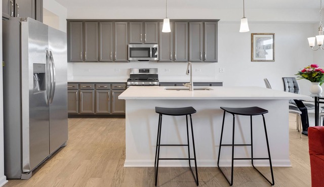 Brand-New Executive Townhouse in Naperville Area