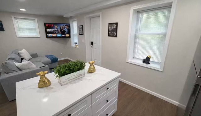 Brand new first floor studio in quiet neighborhood