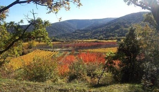 Brand new gite in an authentic Provencal Mas, in south Ventoux