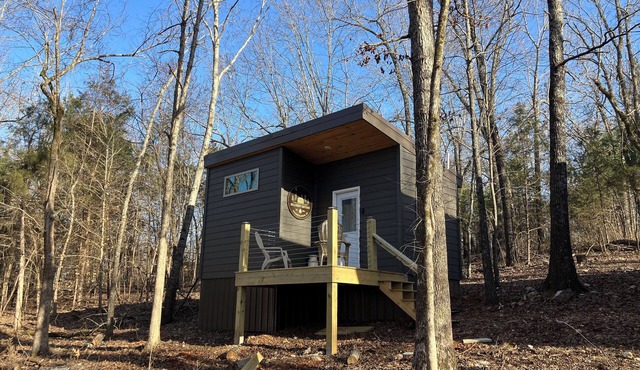 Brand new Hillcrest cottage 1 mile from Mammoth Spring Park!