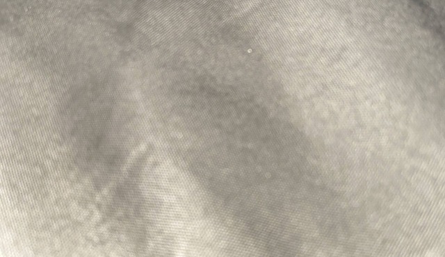 Brand new midtown condo - 1 bed/private bath