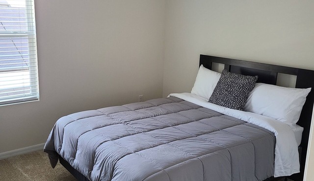 Brand new modern home near the heart of Tampa