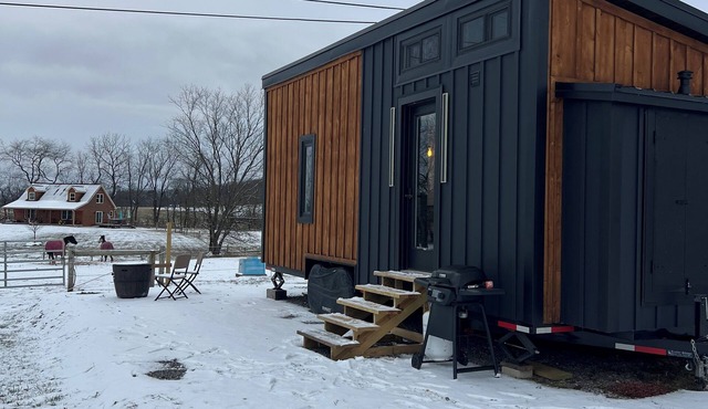 BRAND NEW! Modern Tiny House @ The Horse Stables