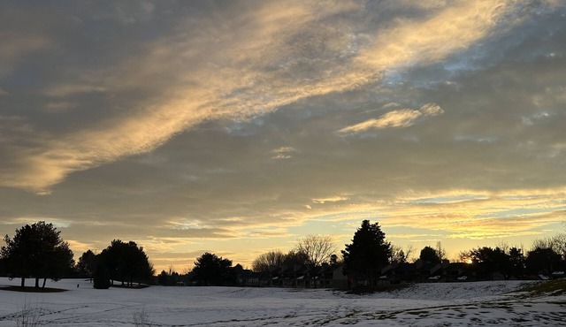 Brand New Pet Friendly Efficient Apt Close to Downtown and Greenbelt