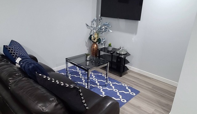 Brand New Private Entrance Suite in Airport Area