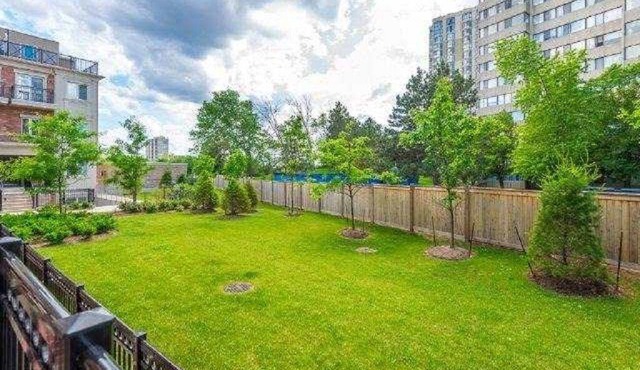 Brandnew whole Luxury Townhouse , fully equipped,free Parking /Close to York U