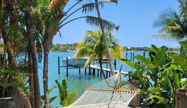 Brando on blue water palm tree paradise.