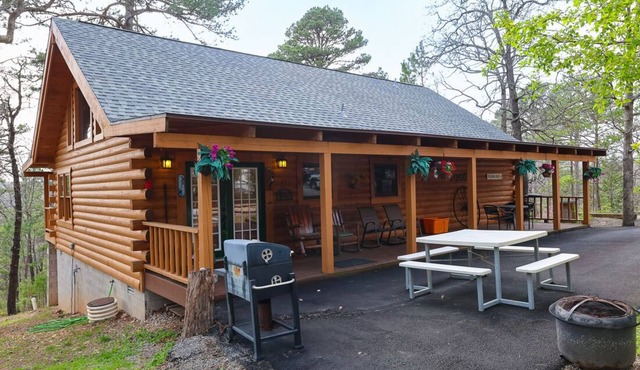 Branson MO Log Cabin Private Porch Quiet Mtn. Forest View Above Lake, Handicap