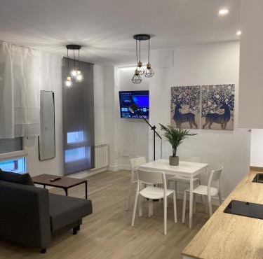 Bravo Murillo Apartments