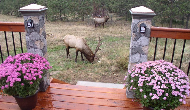 Breath Taking Mountain Views #3039