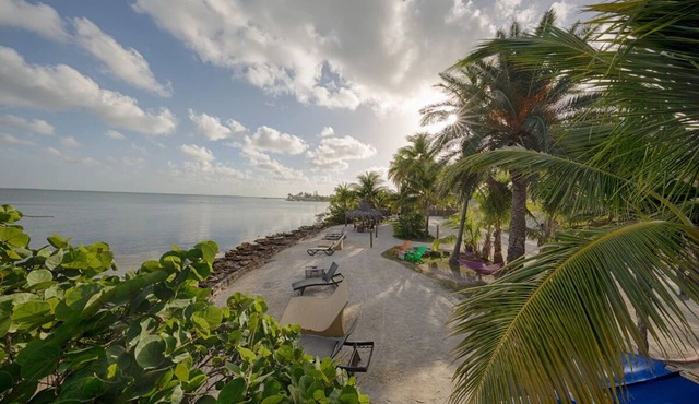 Breathtaking Island Oasis! Relaxing Studio w/Resort amenities & Gulf views!