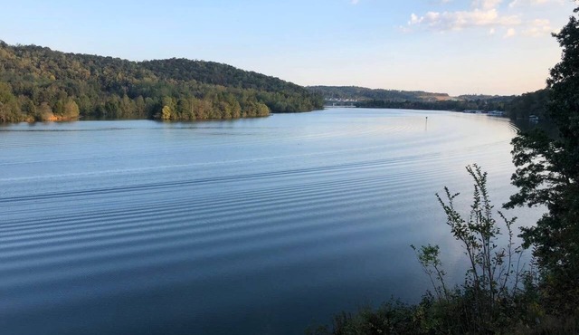 Breathtaking Lake View w/Pool Nearby!- Knoxville/Oak Ridge