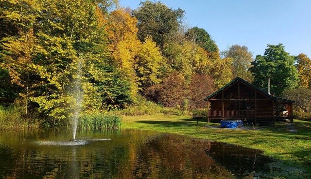 Breathtaking Long Eddy Cabin! Delaware River Fishing Access Right Down the Road!