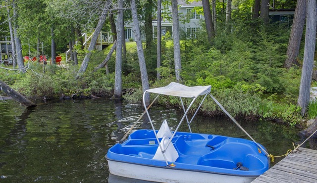 Breathtaking & Newly Renovated Lakeside Cottage