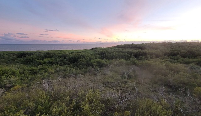 Breathtaking Ocean views! Owners who care. “Sangria Sunrise”! 10% off charters!