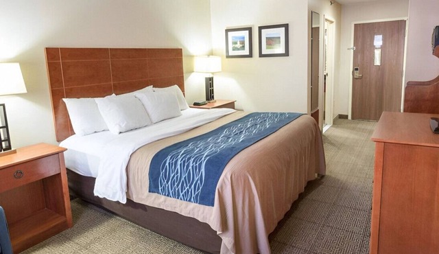 Breathtaking Rm for Luxurious Stay! Free Wi-Fi