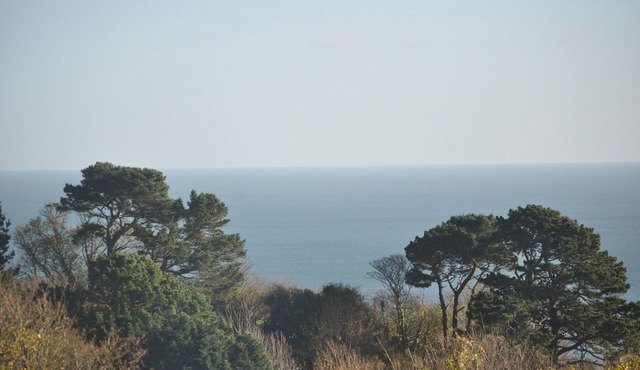 Breathtaking Sea Views, Private Outdoor Terrace, free WiFi, Dartmouth nearby