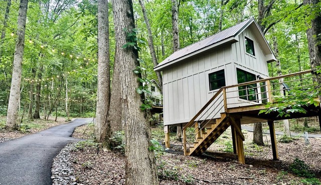 Breathtaking Treehouse with Barbecue and Hot-tub in Scottsboro, Alabama