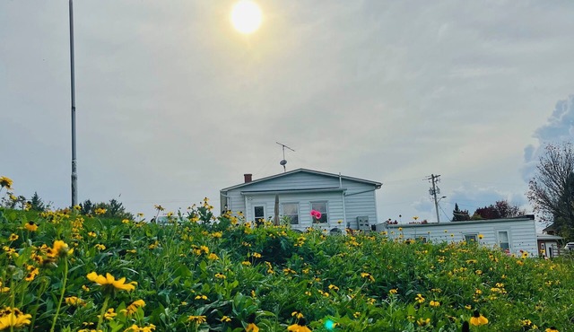 Breathtaking view and pet-friendly. Charming 3-bedroom house