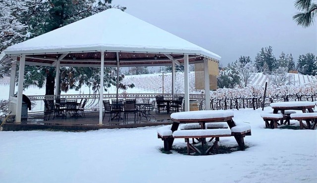 Breathtaking Vineyard Views 3 Minutes From Downtown