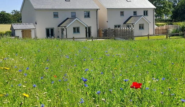 Brecon Beacons Cottage with Stunning Country Views