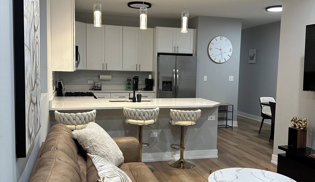 Breeze of Bronzeville Chicago: 3 bedroom 2 bath 9 mins from downtown chicago