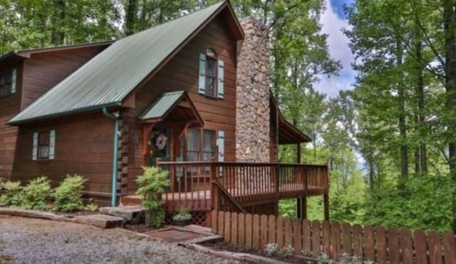 Breezy Bear, Ellijay, Ga