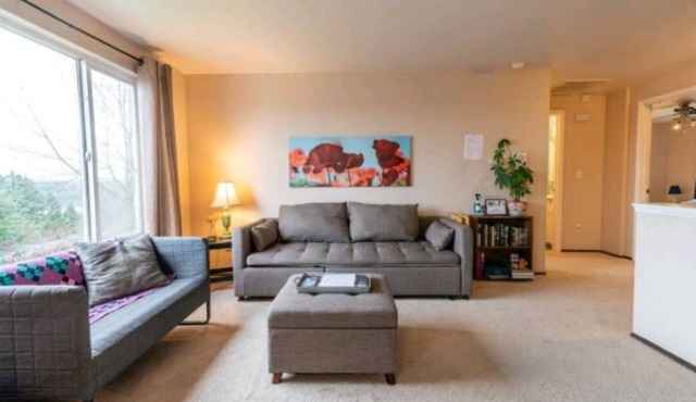 Bremerton charmer with a breathtaking view