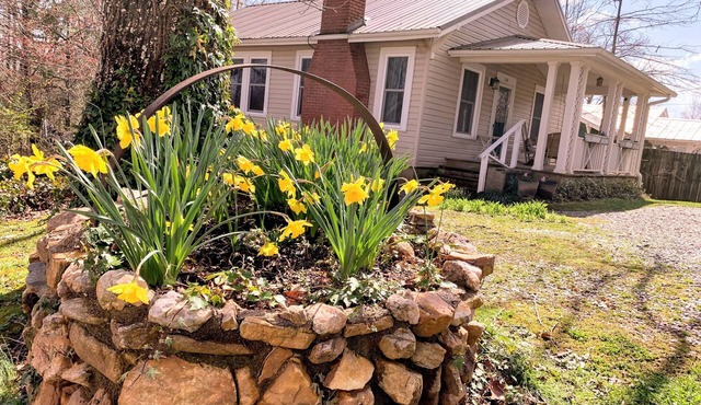 Brevard Bungalown2 level, steps to Downtown, Music Center, Lumberyard, Greenway.