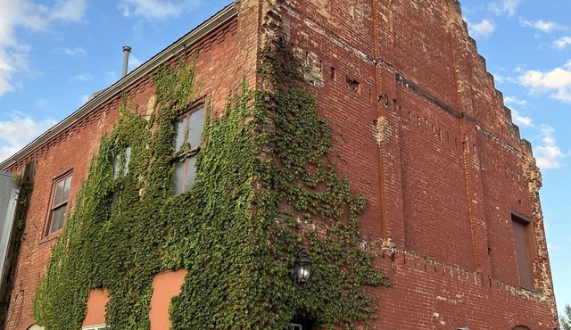 Brick & Vine Suite - Newly Remodeled!