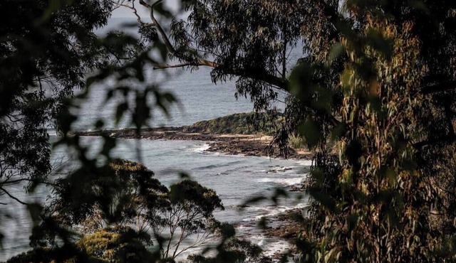 Bridge Rest - Wye River House