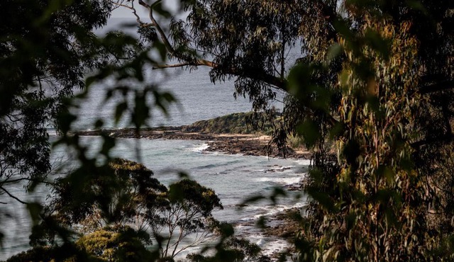 Bridge Rest - Wye River house with sauna
