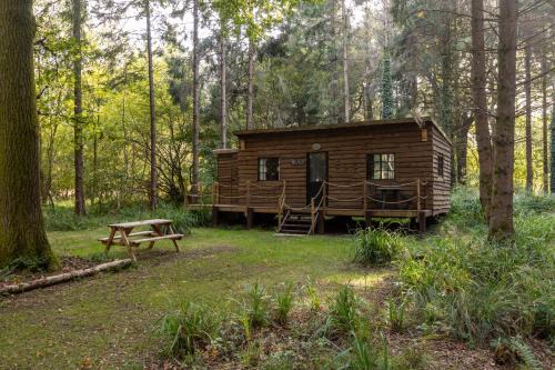Bridgewood Camping - CABIN
