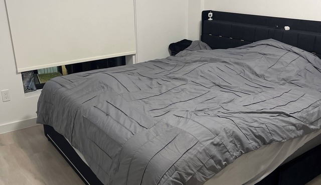 Bright 2-bedroom apartment with Heat & AC overlooking Coney Island, Brooklyn