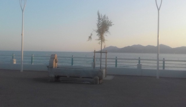 Bright 2 rooms 55 m2 in the heart of Cannet Village and 2 steps from the Bonnard Museum