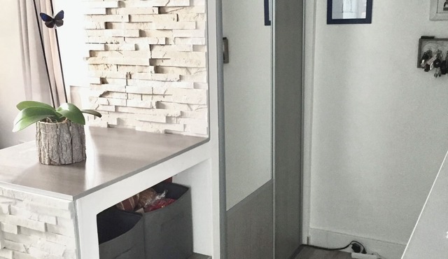 Bright 45m2 walk-through apartment