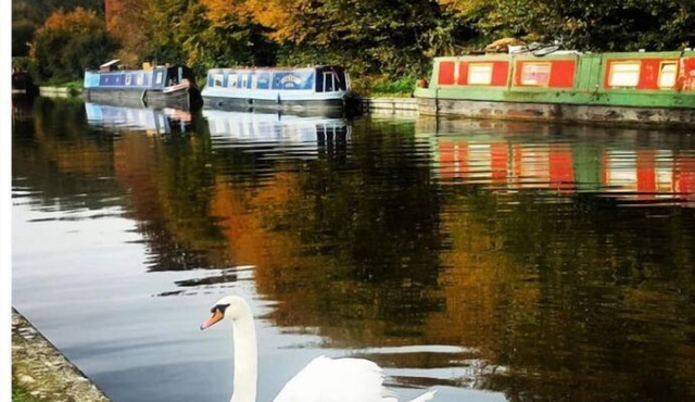 Bright, airy room commuting distance to London 1 bedroom and 1 bathroom only